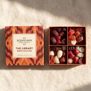 Discovery Set  The Library Winter Collection