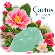 Cactus Flower