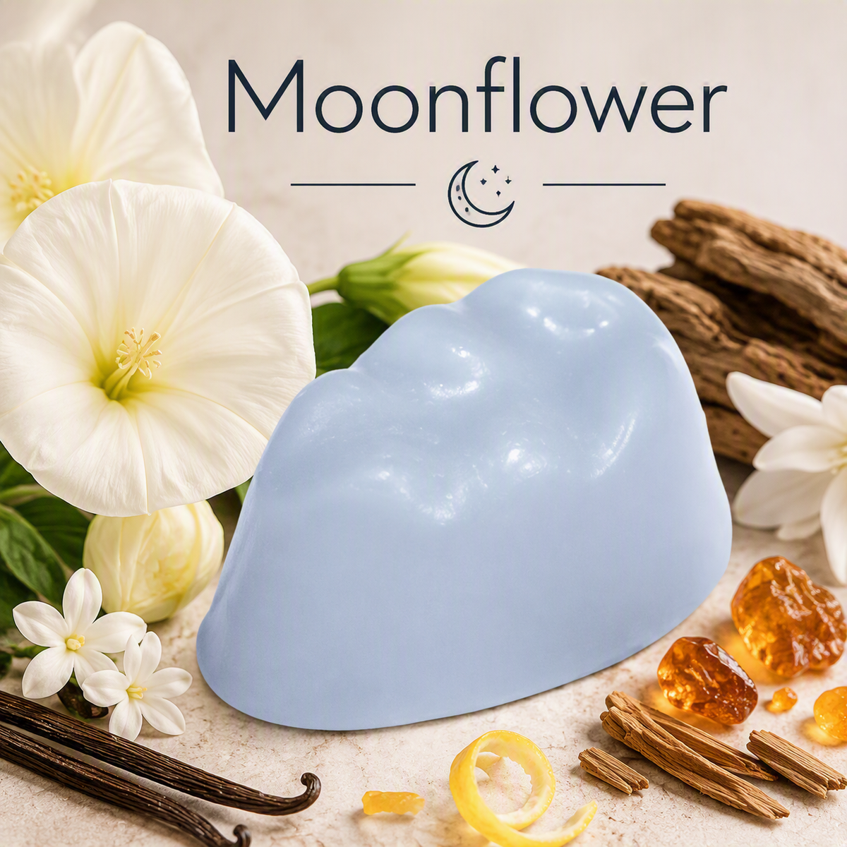 Moonflower