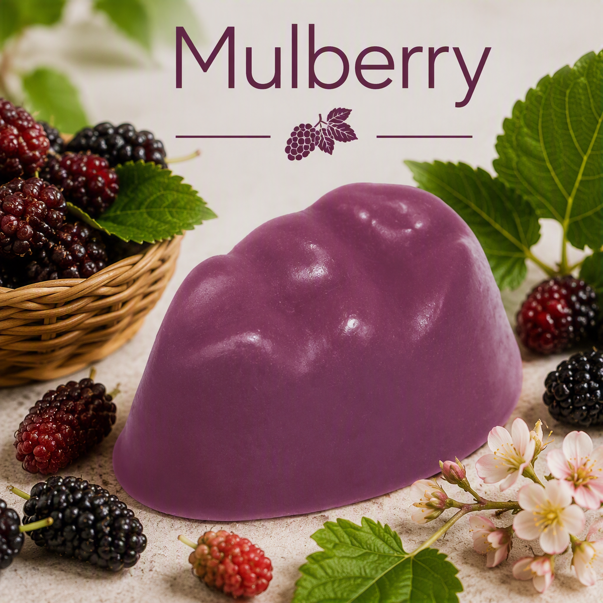 Mulberry