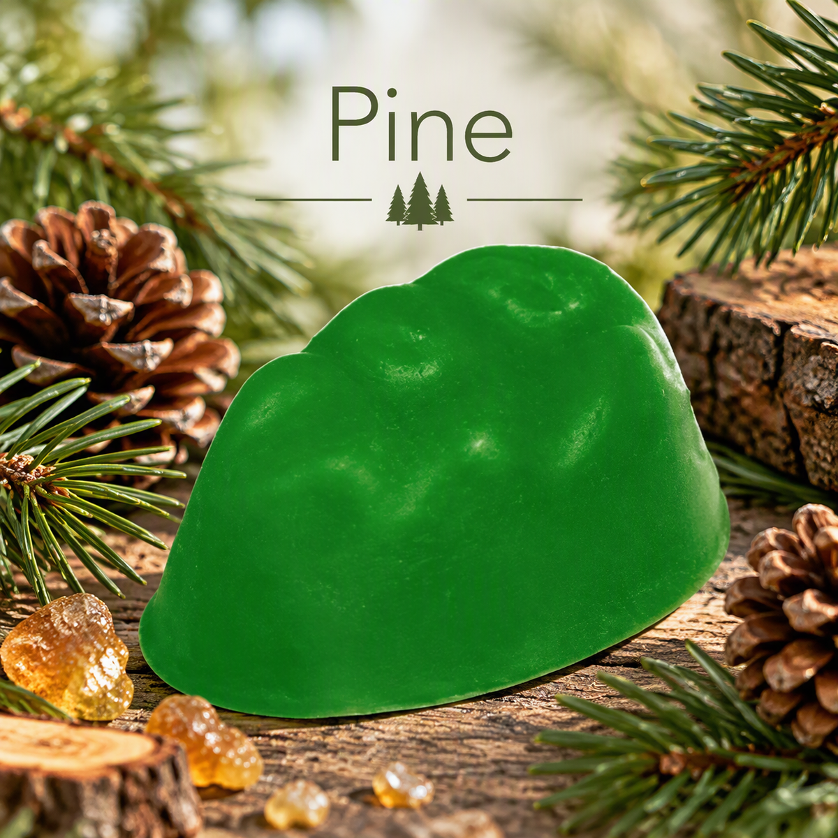 Pine