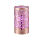 NEW!!!  Butterfly and Roses - Rose Gold  LED Warmer