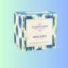 Californian Dreamin <br> <br> Ocean / Patchouli / Lily of the Valley