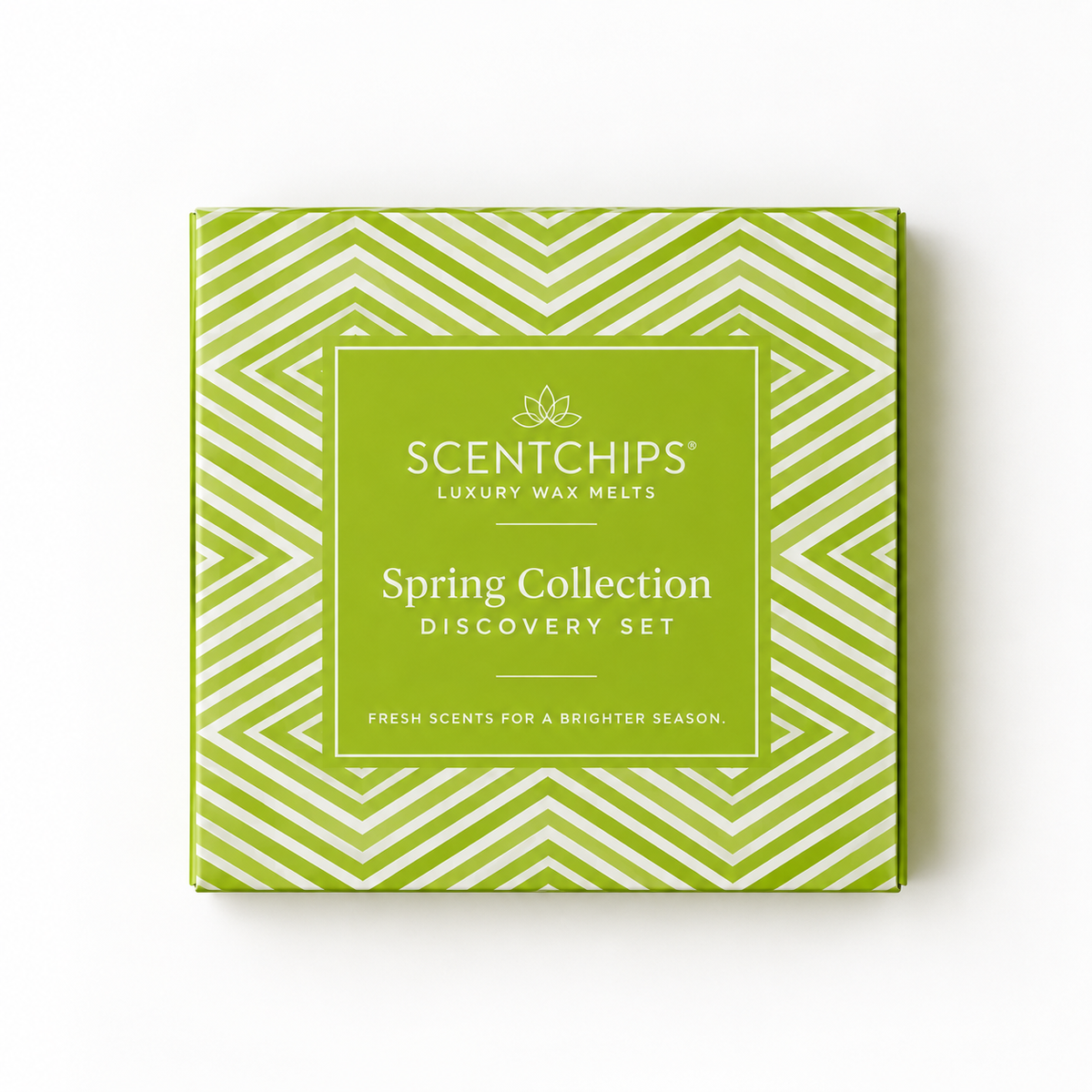 Discovery Set - Spring