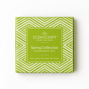 Discovery Set - Spring