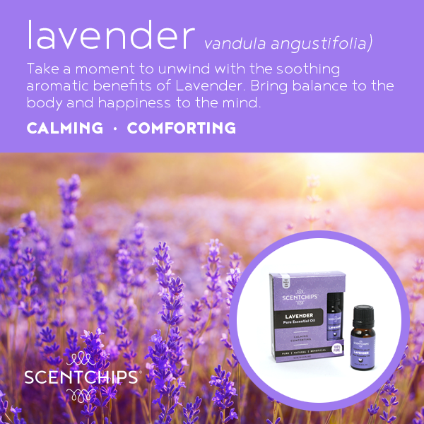 Lavender - 100% Essential Oil
