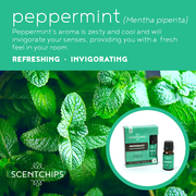 Peppermint - 100% Essential Oil