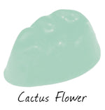 Cactus Flower