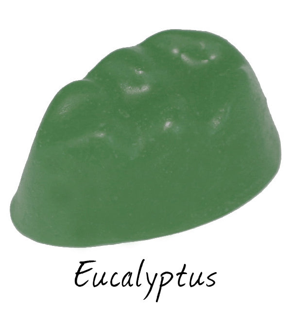 Eucalyptus