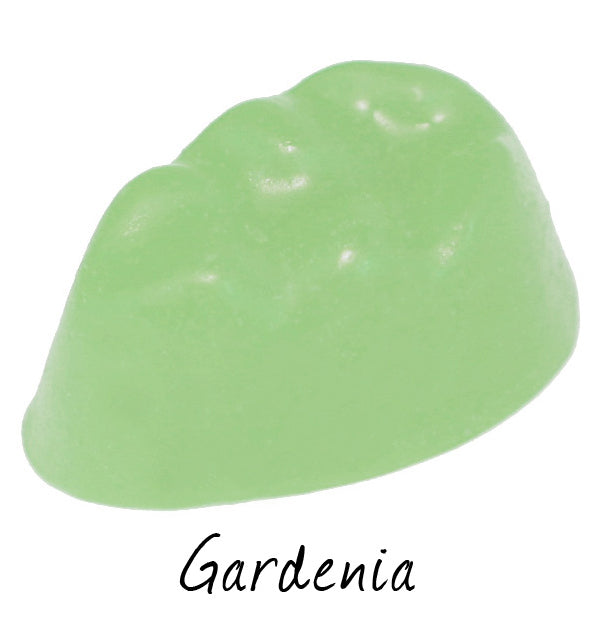 Gardenia