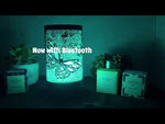 Black Butterfly - LED Warmer - "Now with Bluetooth"