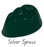 Silver Spruce