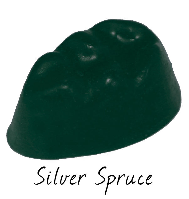 Silver Spruce