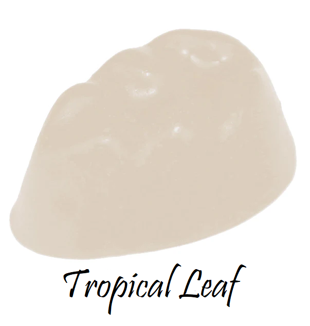 Tropical Leaf