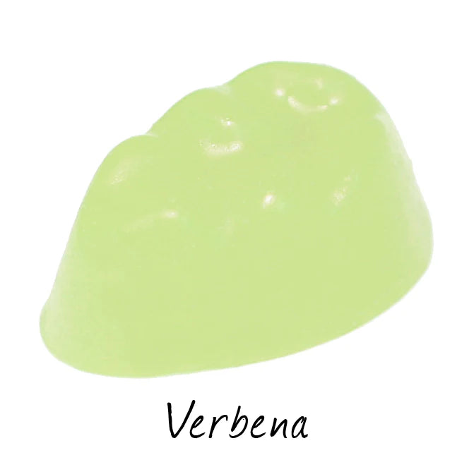 Verbena